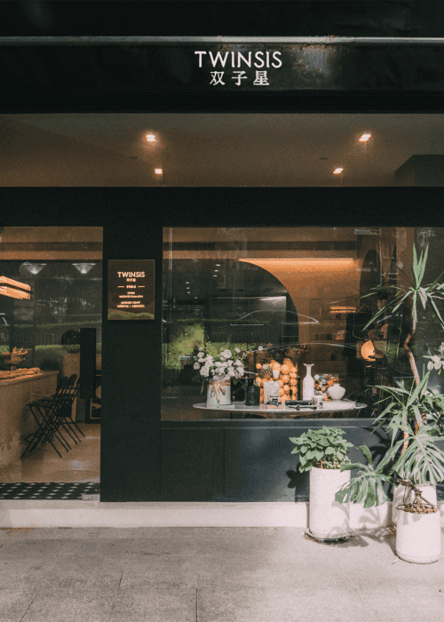 10. Twinsis World Images-10