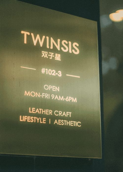 8. Twinsis World Images-8