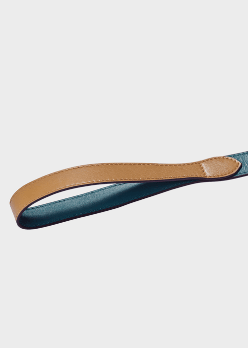 4. Pet Accessories - Pet Leash