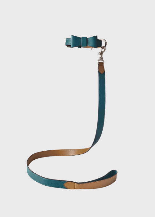 6. Pet Accessories - Pet Collar